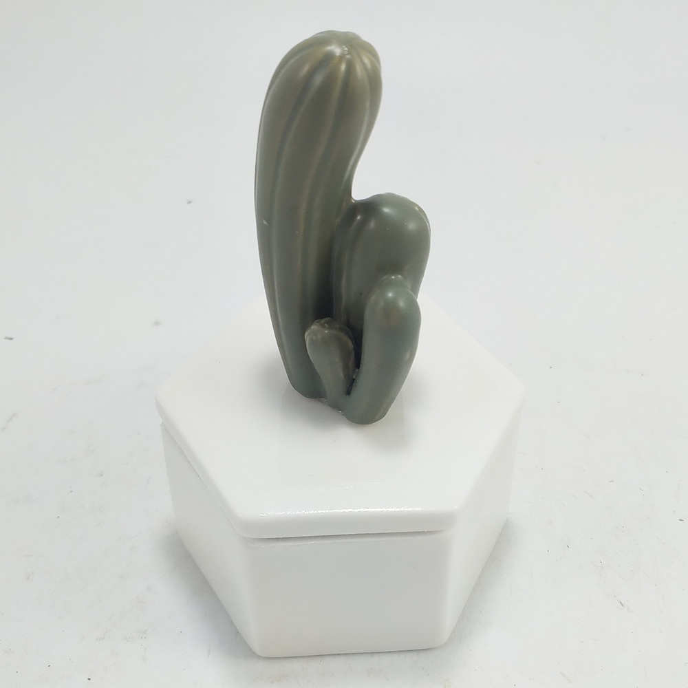 Vivid Cactus on Lid Ceramic Jewelry Storage Box