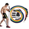 Resistance Bands Set Fitness Bands Resistance Gym Equipment Exercise Bands Pull Rope Fitness Elastic Training Expander