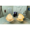 Decorative Nightlight Ceramics Shell Glass Pearl Night Light Desktop Nightstand Bedside Decorative Lamp Ornament