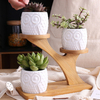 Garden Pots 3 Tier Wooden Stand Holder Home Office With Drainage Indoor Decoration White Ceramic Vase Bamboo Saucers