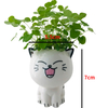 Ceramic Flowerpot Mini Cat Shaped Cartoon Cute Potted Plant Desktop Potted Expression Cat Plant Pot Desk Decorate Small Ornament