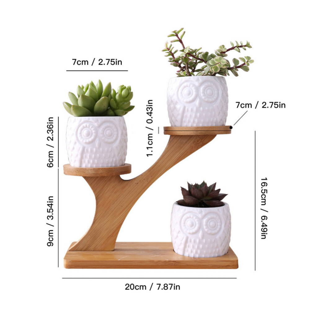Garden Pots 3 Tier Wooden Stand Holder Home Office With Drainage Indoor Decoration White Ceramic Vase Bamboo Saucers