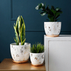 1pc Ceramic Flower Pot Marble Pattern Literary Flower Pot Modern Nordic Style