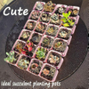 10PC Colorful Multi Square Nursery Flower Pot Plastic Nursery Pot Plant Seeds Nursery Box Transplant Flower Tray For Home Garden