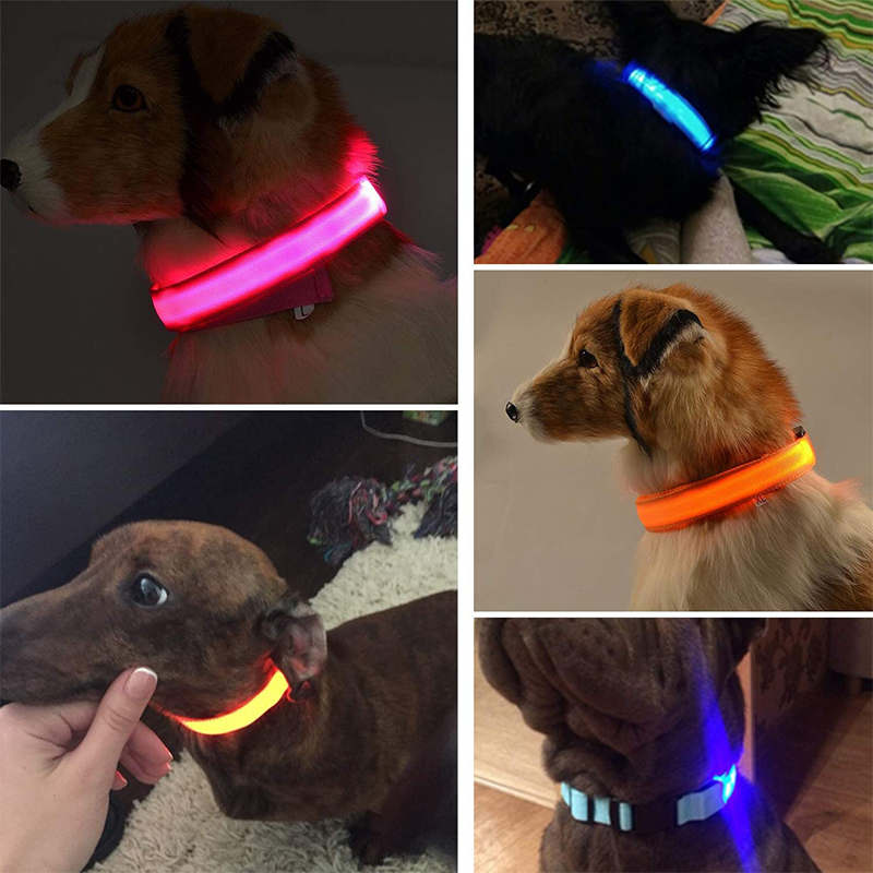 Xiaomi LED Glowing Dog Collars Rechargeable Waterproof Luminous Collar Adjustable Dog Night Light Collar Pet Dog Safety Necklace