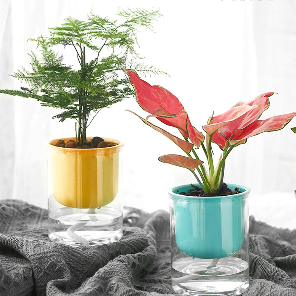 Simplicity Transparent Macaron Color Straight Potted Plants Automatic Water Absorption Flowerpot Resin