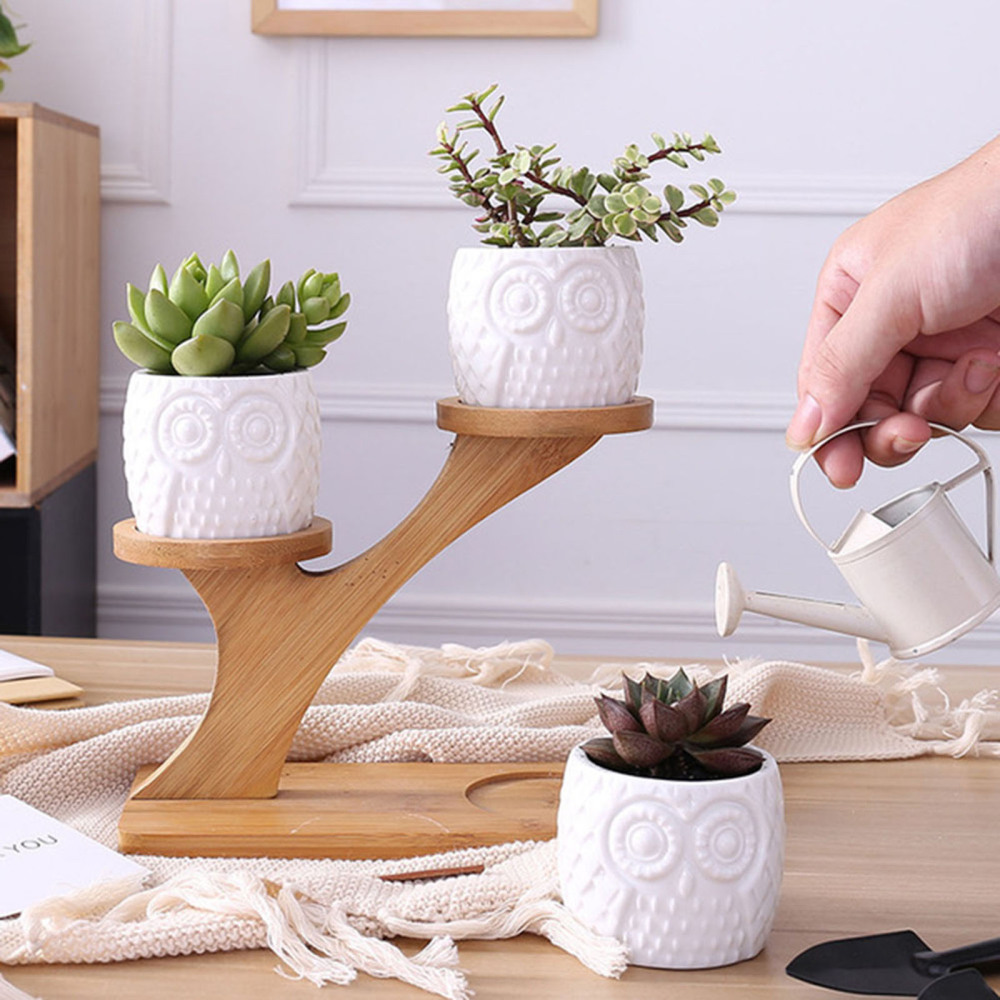 Garden Pots 3 Tier Wooden Stand Holder Home Office With Drainage Indoor Decoration White Ceramic Vase Bamboo Saucers