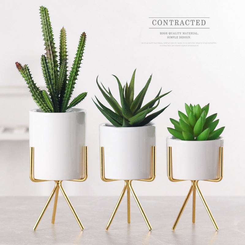 Small Succulent Planter with Metal Gold/Rose Gold Stand Modern Ceramic
