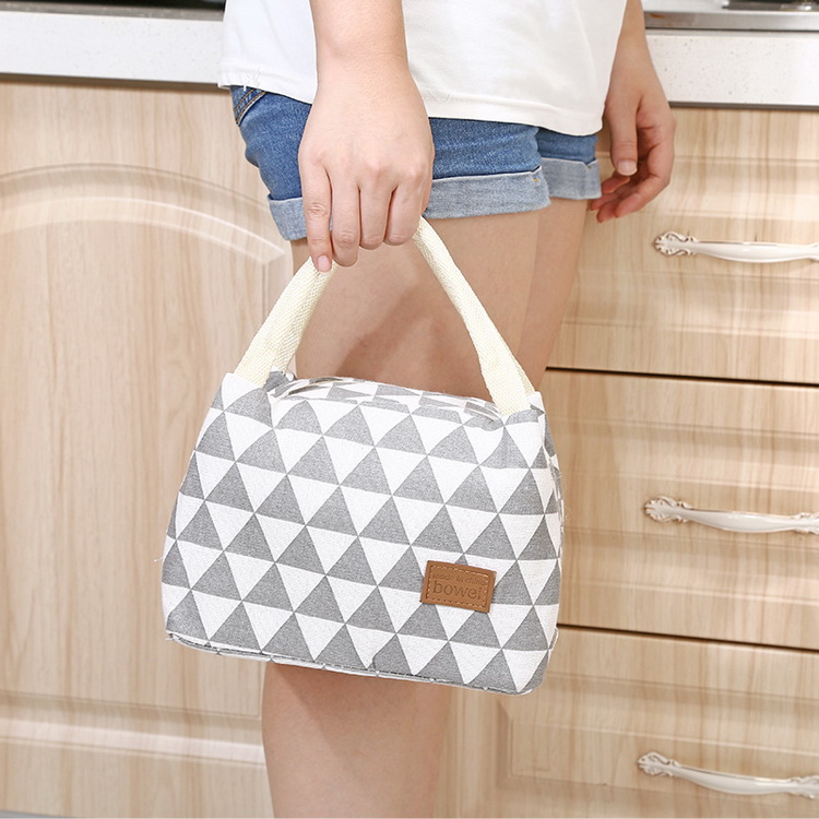 Fashion Cooler Bag for Frozen Food 
