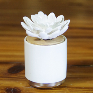 Luxury Ceramic Reed Diffuser Bottle with Cheap Price