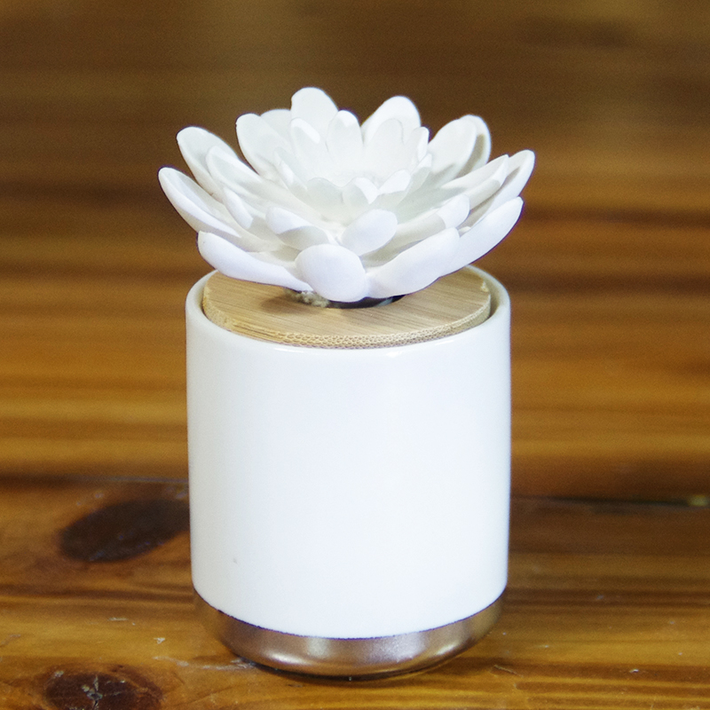 Fragrance Ceramic Perfume Diffuser with Bamboo Lid And Cactus on Top
