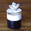 Fragrance Ceramic Perfume Diffuser with Bamboo Lid And Cactus on Top
