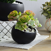 Hot new products straw plaited article handmade Ceramic Indoor Flower pot