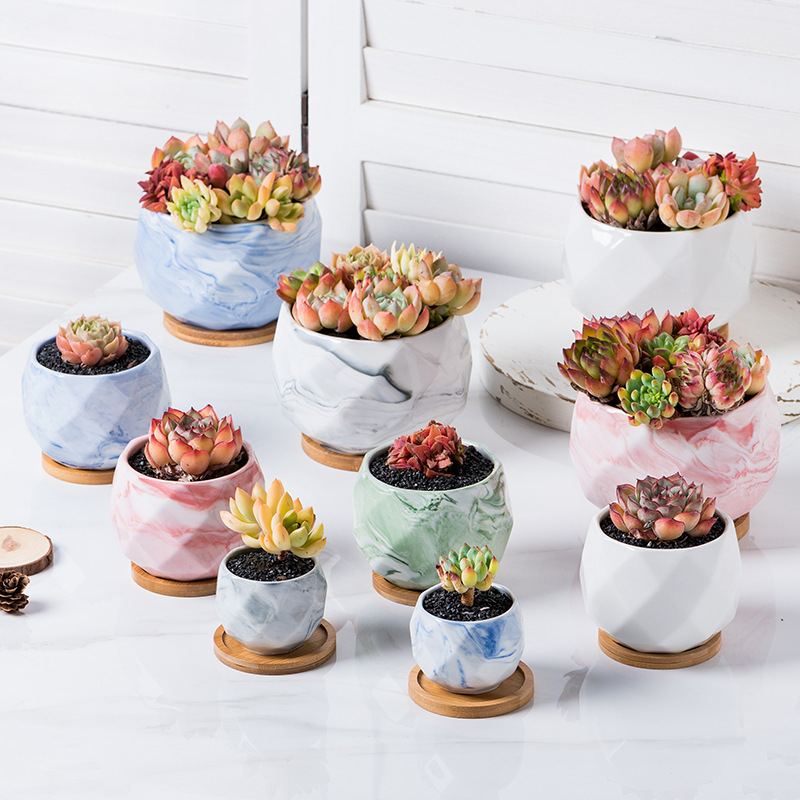Cheapest Succulent Ceramic Flower Pot Plant Pots Wholesale Buy
