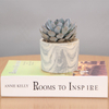 High Quality Office Cheap Small Flower Ceramic Pot