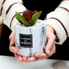 Ceramic Color High-end Flower Pot Planters Pots