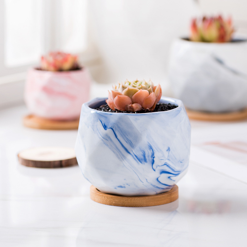 Cheapest Succulent Ceramic Flower Pot Plant Pots Wholesale