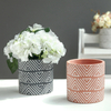 Hot new products straw plaited article handmade barrel Ceramic Indoor Flower pot for home decor