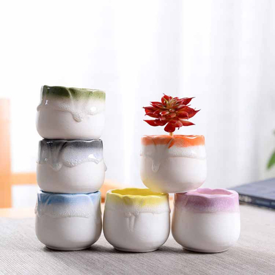 Multicolor Lace Pottery And Porcelain Succulent Plant Flowerpot 